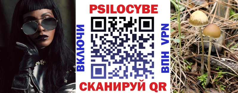 Купить закладки Карпинск Псилоцибиновые грибы Psilocybine cubensis